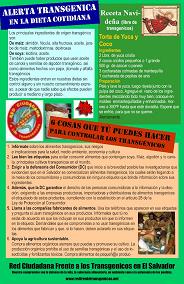 BOLETIN NAVIDE&Ntilde;O